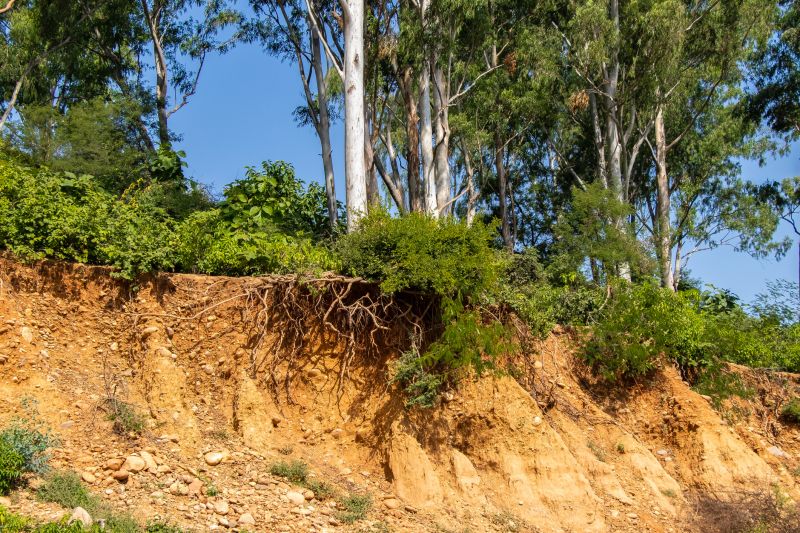 Slope Stabilization